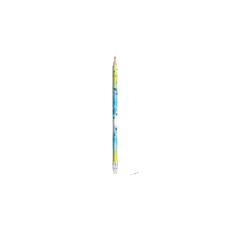 CRAYON NOIR